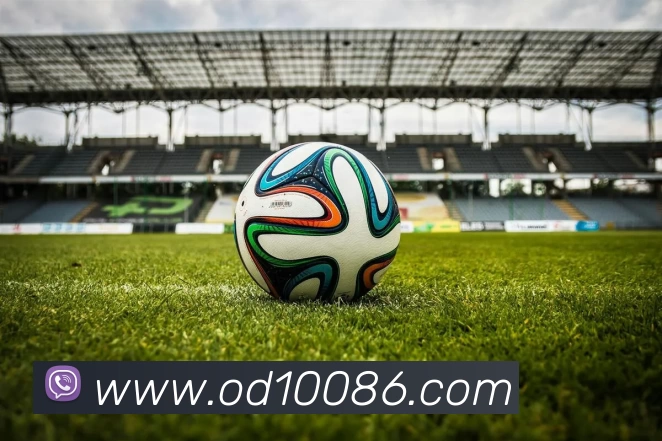 OD体育APP 封面图